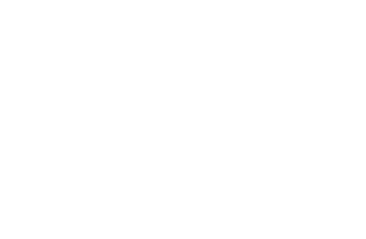 Zoomer Fest